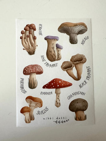 STICKER FUNGHI NIKKI
