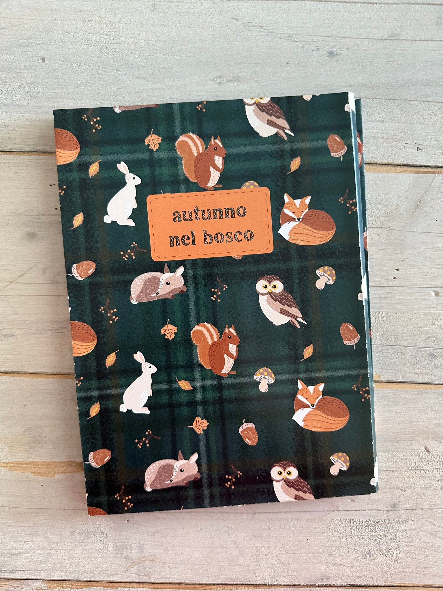 SET CREATIVO “AUTUNNO NEL BOSCO” Paper Plane