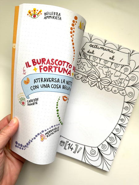 DIARIO DEI 52 BARATTOLI