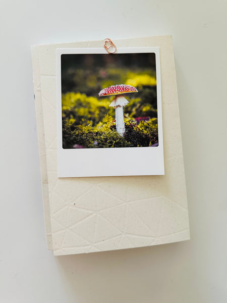 BIGLIETTO CARTOLINA POLAROID