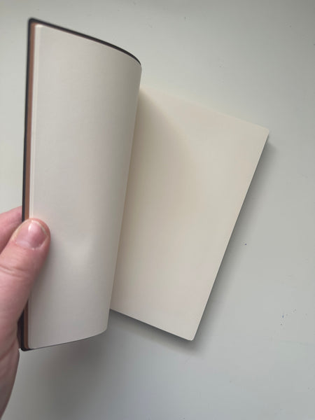 NOTEBOOK PAPERBLANKS MICHELANGELO