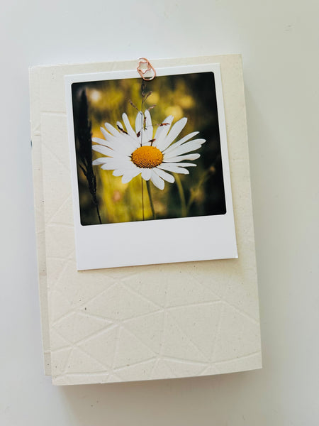 BIGLIETTO CARTOLINA POLAROID