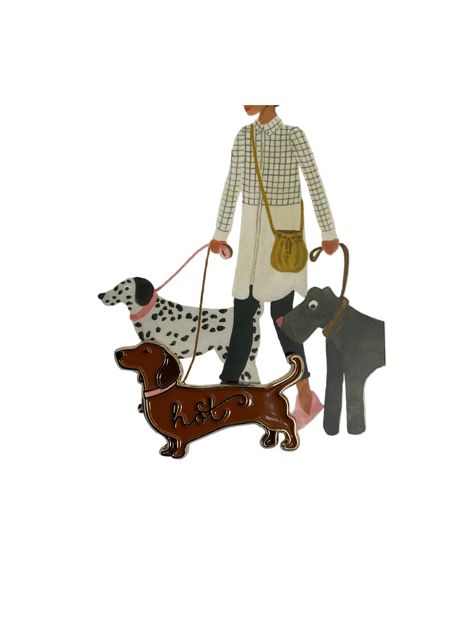 SPILLA BASSOTTO- atws